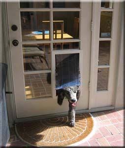 Image result for innstallation glass  pet door with multiple panes"