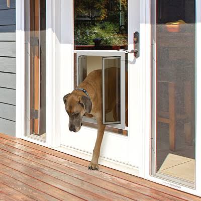 Image result for pet door in a glass door"